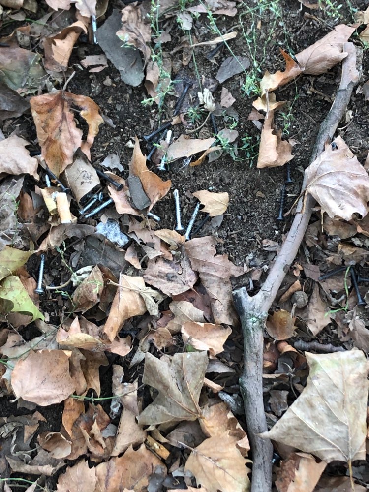 Giftköder-Nägel ausgelegt-Profilbild