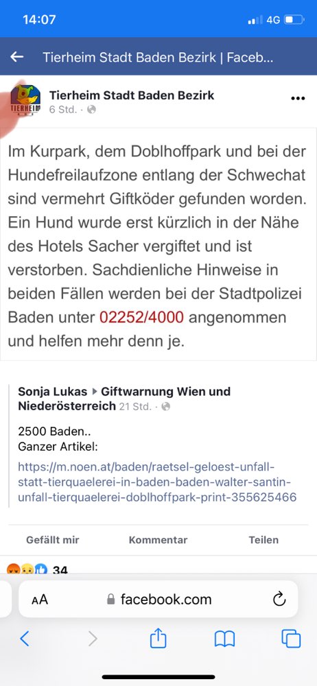 Giftköder-Giftköder-Profilbild