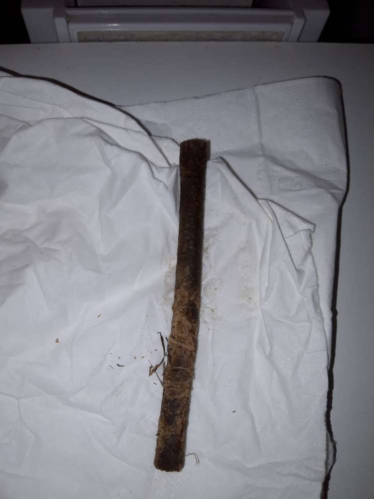 Giftköder-verdächtige lecklie-Profilbild