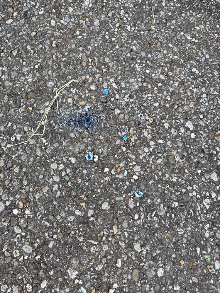 Giftköder-Unbekannte Substanz-Profilbild