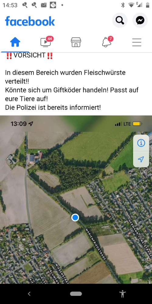 Giftköder-Fleischwurststück im A- Pat in Reckenfel-Profilbild