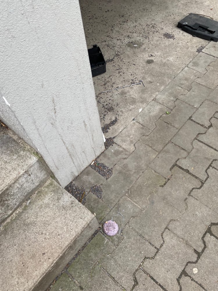 Giftköder-Defekte Rattenfalle an Rewe Laderampe-Profilbild