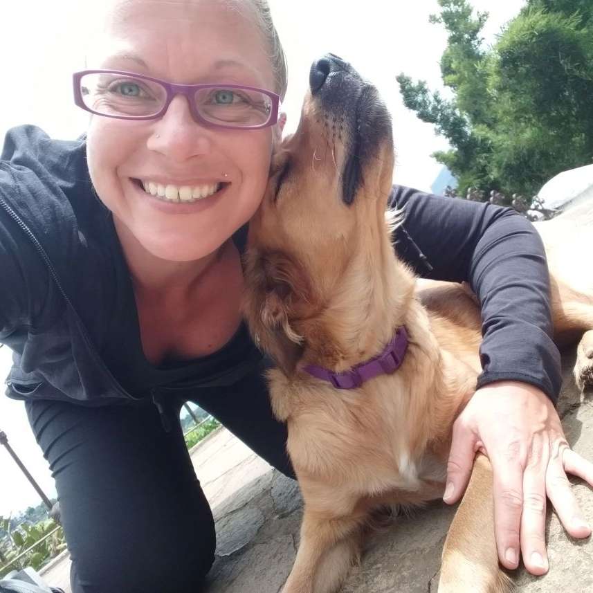 Hundetreffen-Gassirunde, soziale Kontakte-Profilbild