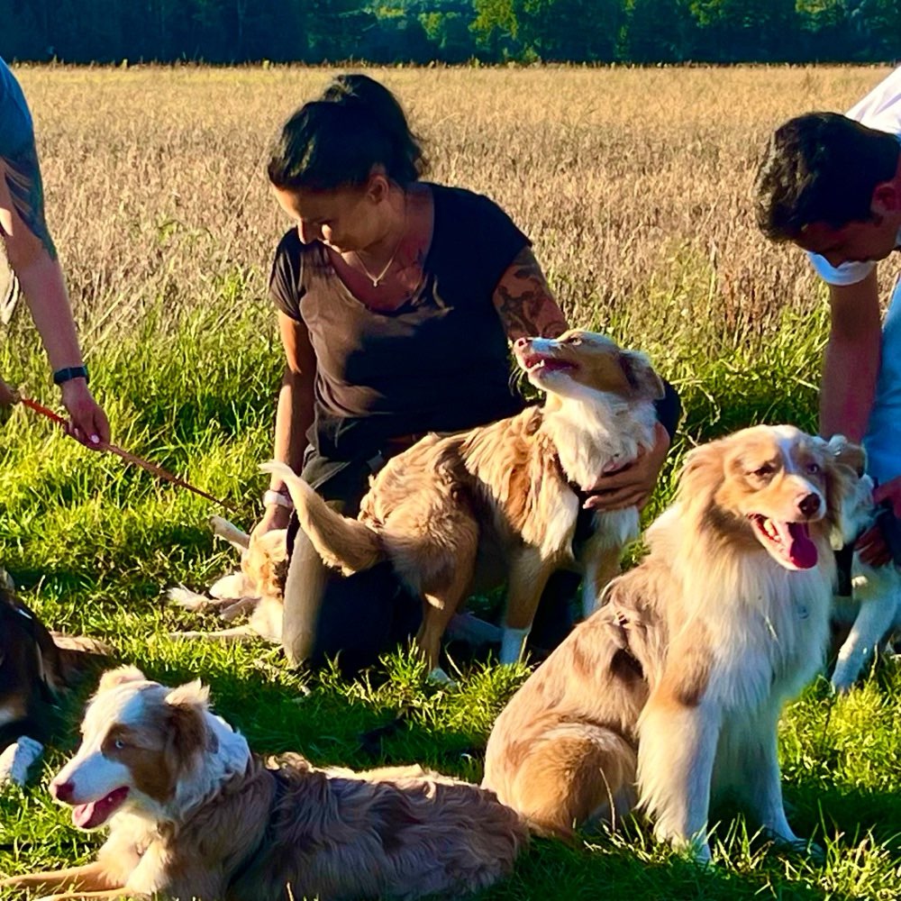 Hundetreffen-Social Walk geführt ,mit Tierpsychologin-Profilbild