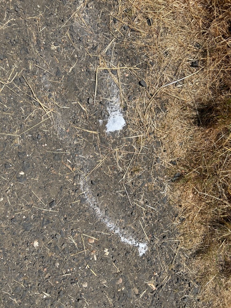 Giftköder-Giftköder !-Profilbild