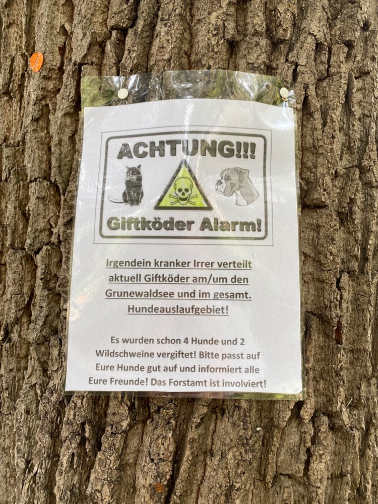 Giftköder-Entwarnung: Förster wusste nichts davon-Profilbild