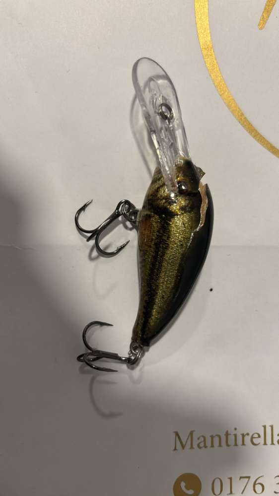 Giftköder-Giftköder!!! Turmstraße-Profilbild