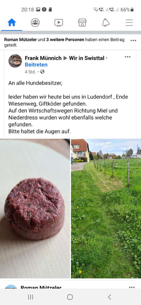 Giftköder-Giftköder-Profilbild