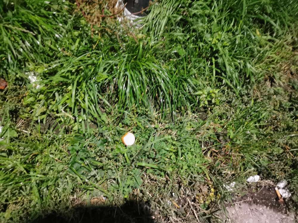 Giftköder-Wurst-Profilbild