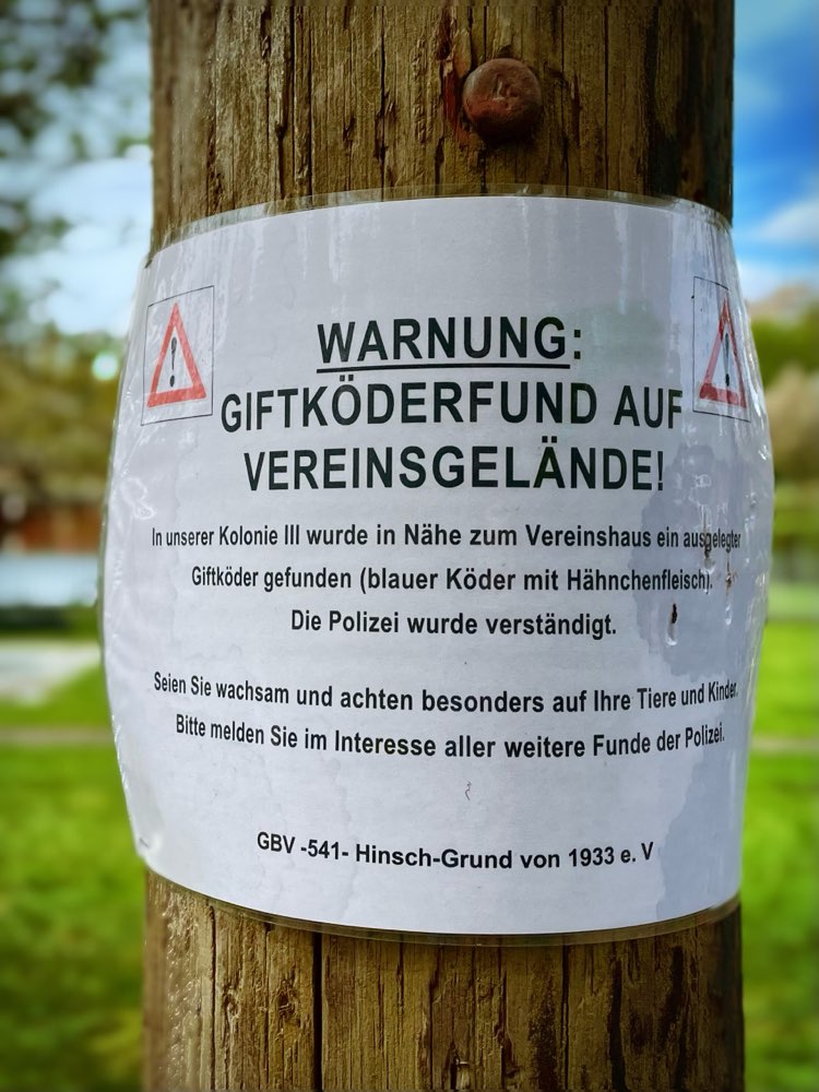 Giftköder-Blauer Köder mit Hühnerfleisch-Profilbild