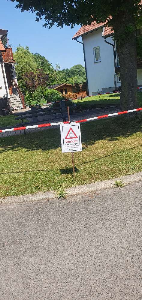 Giftköder-Eichenprozessionsspinner-Profilbild
