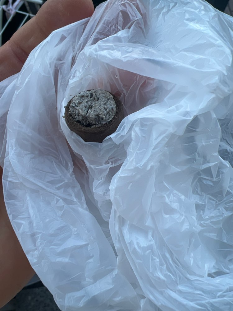 Giftköder-Giftköder Straße des Friedens-Profilbild