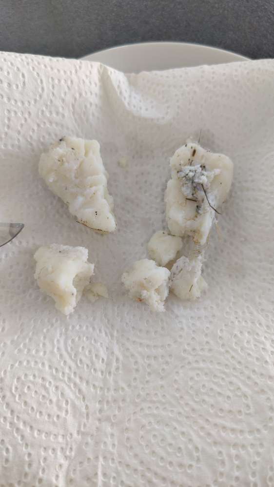 Giftköder-Weißer undefinierbarer Klumpen-Profilbild