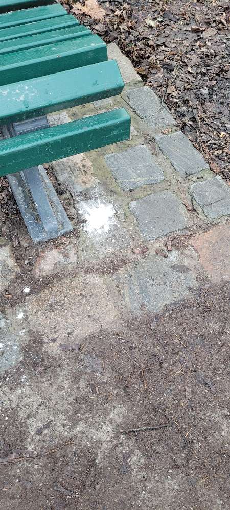 Giftköder-Mögliches Gift-Profilbild