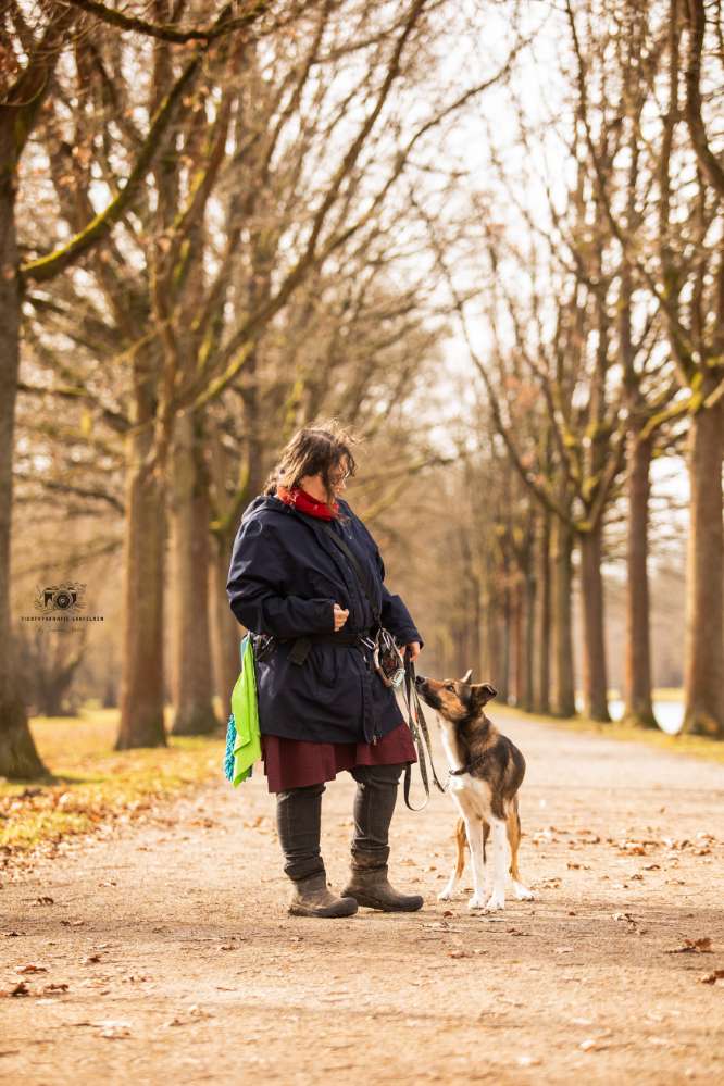 Hundetreffen-Trainingsspaziergänge-Profilbild