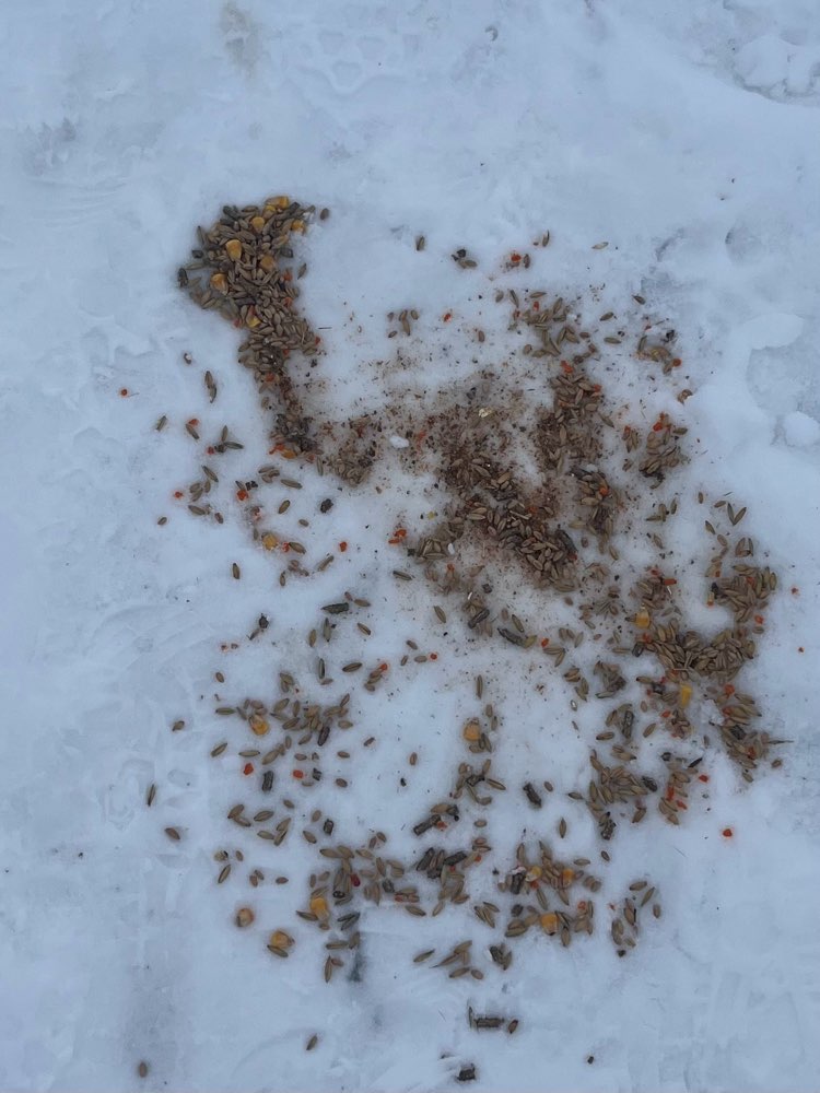 Giftköder-KEIN Giftköder-Profilbild