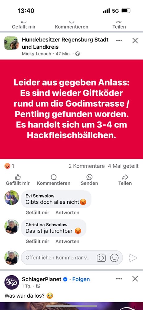 Giftköder-GIFTKÖDER HACKBÄLLCHEN-Profilbild