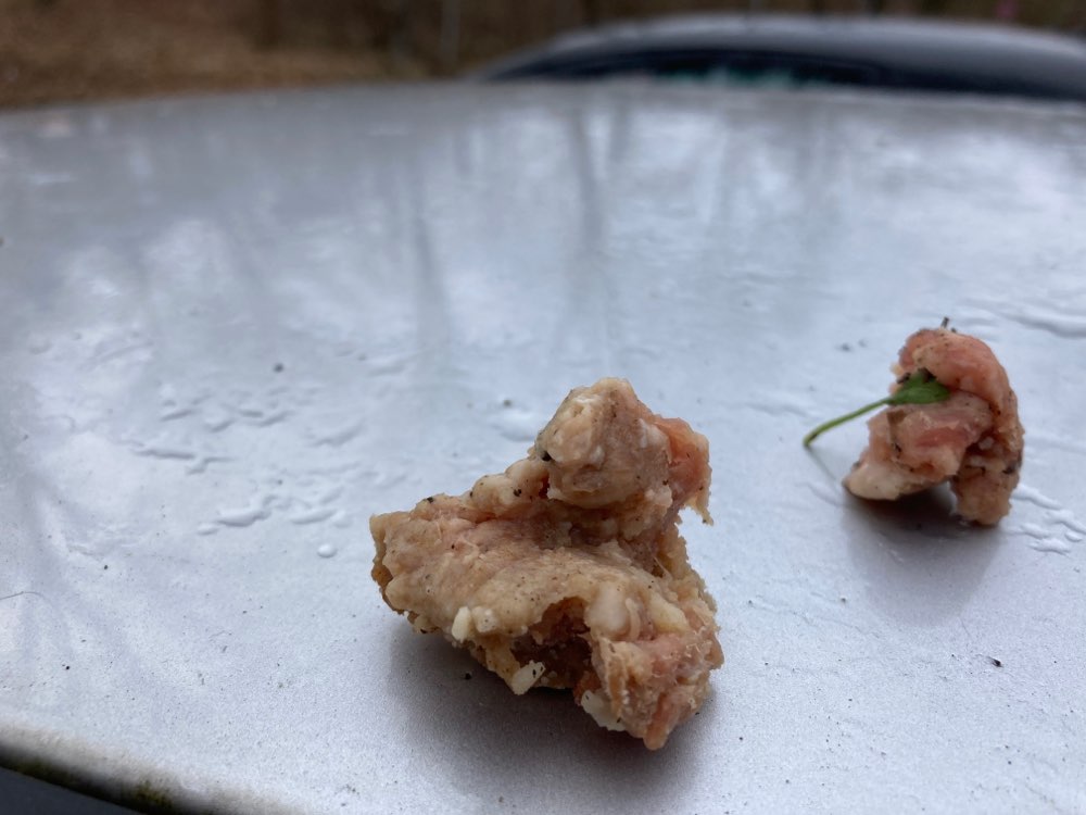 Giftköder-Ausgelegtes Fleisch-Profilbild