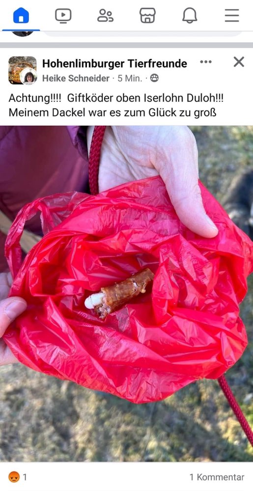 Giftköder-Giftköder-Profilbild