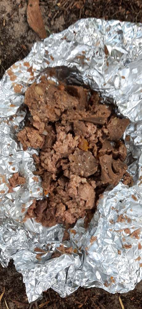 Giftköder-Fleisch in Alufolie.-Profilbild