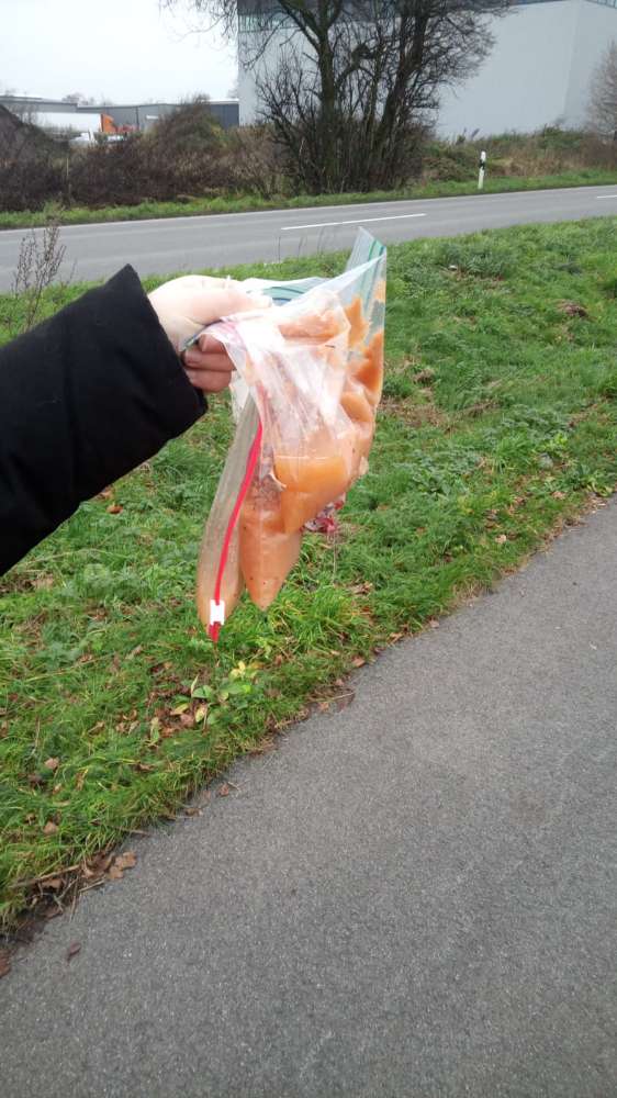 Giftköder-Giftköder auf dem Fahrradweg-Profilbild