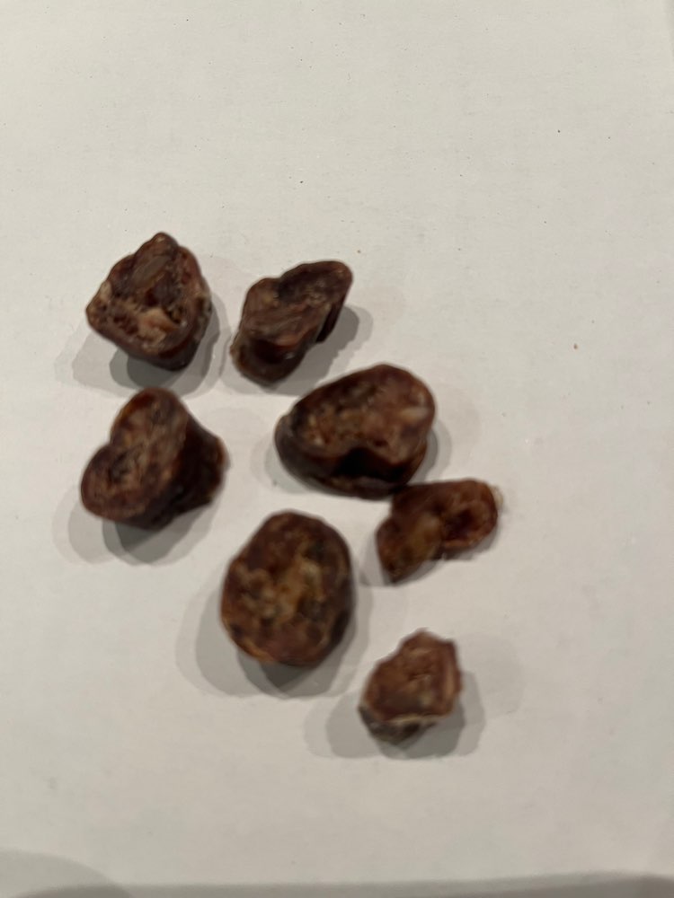 Giftköder-Möglicher Giftköder-Profilbild