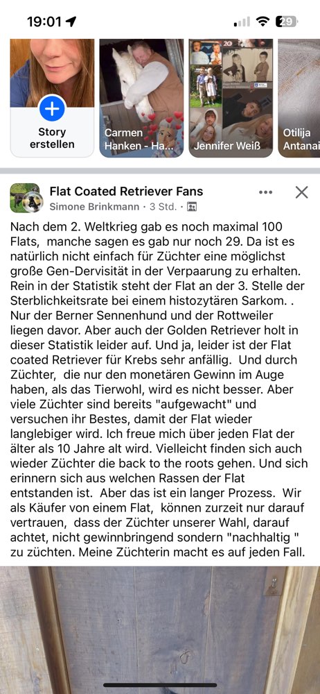 Hundetreffen-Gassi Runde Bruckmühl-Profilbild