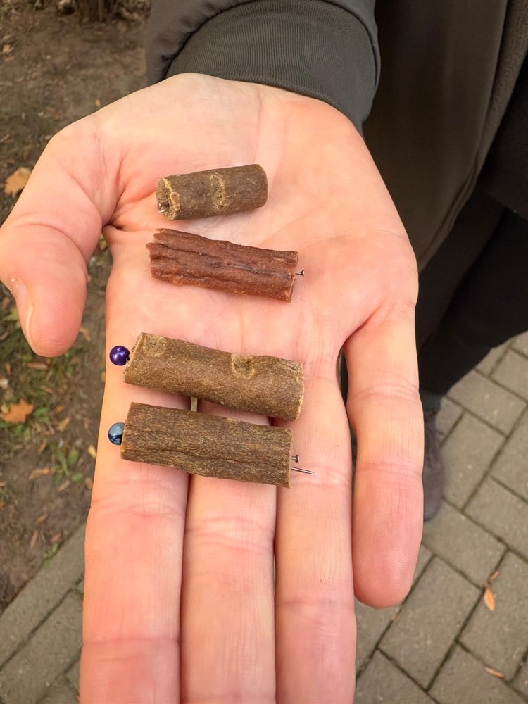 Giftköder-Giftköder-Profilbild