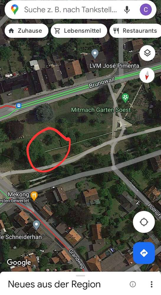 Giftköder-Getrocknetes Fleisch oder Sehnen-Profilbild