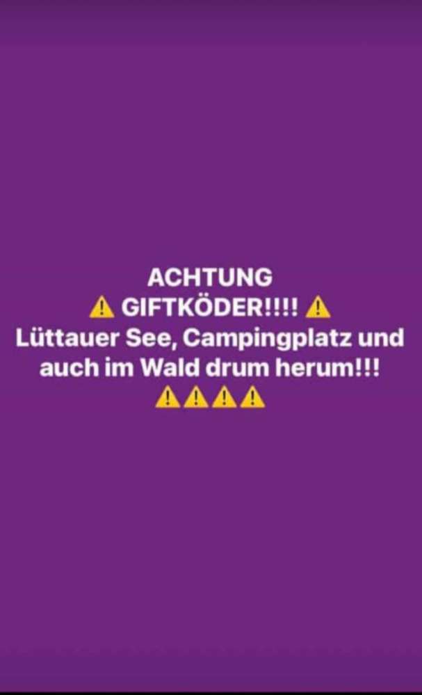 Giftköder-Evtl. Giftköder am Lütauer See...-Profilbild
