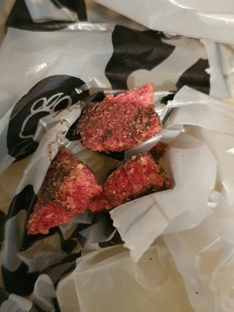 Giftköder-Undefinierbar. Rot gefärbt.-Profilbild