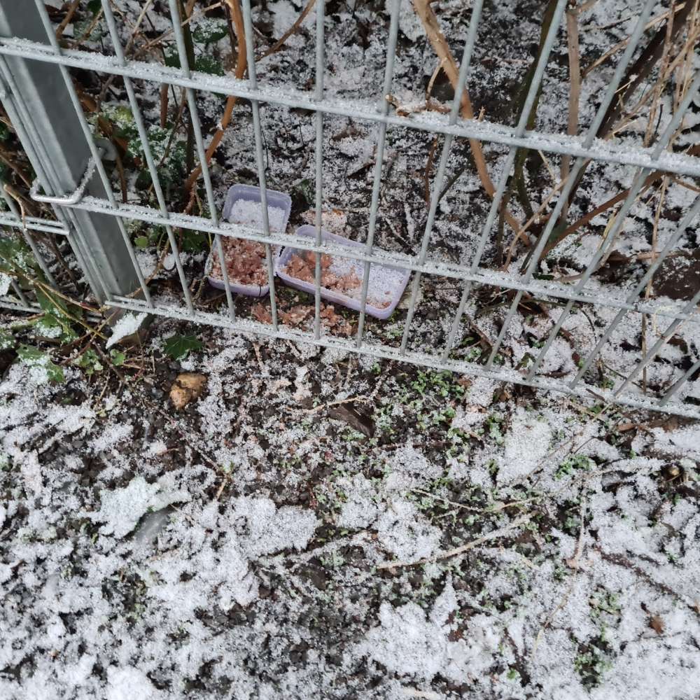 Giftköder-Verdächtige Dose mit Essen-Profilbild