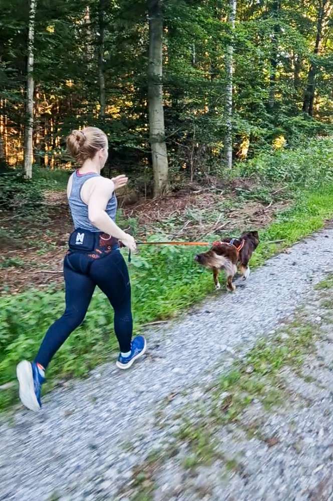 Hundetreffen-Canicross (Einsteiger)-Profilbild