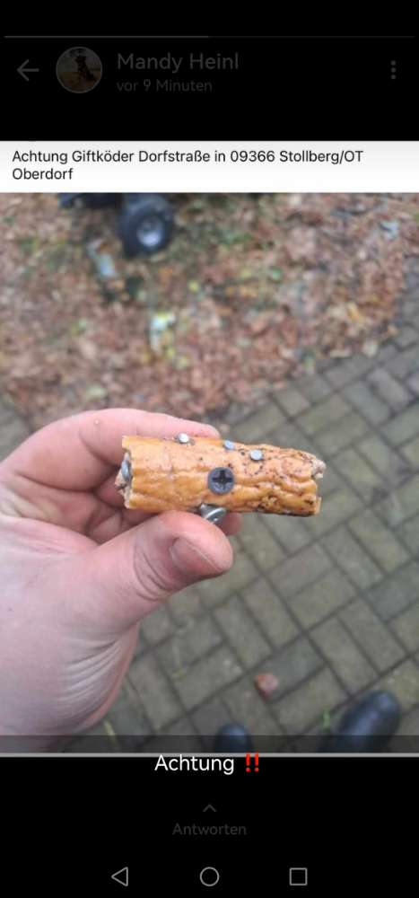 Giftköder-Giftköder-Profilbild