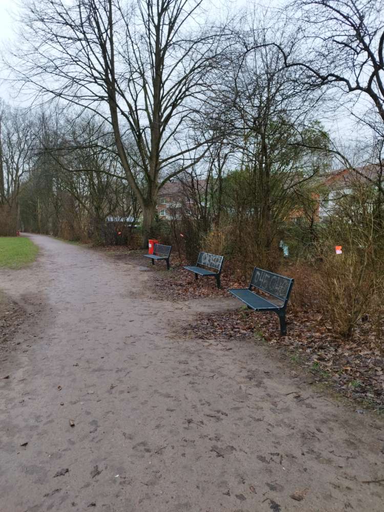 Giftköder-Giftköder gegen Ratten-Profilbild