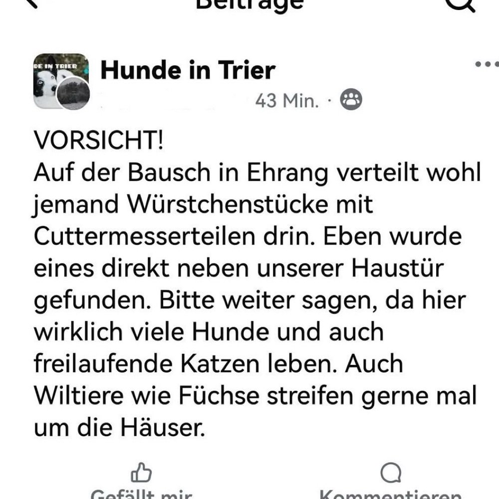 Giftköder-Giftköder-Profilbild