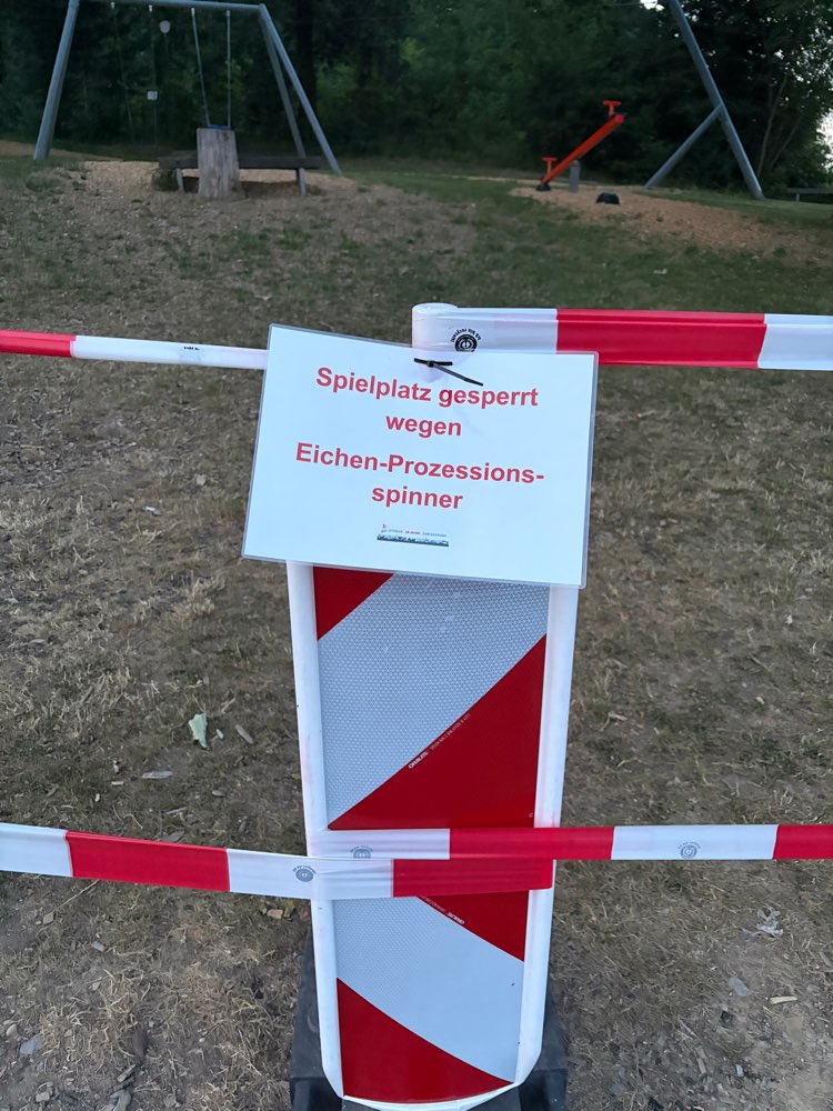 Giftköder-Eichenprozessionsspinner-Profilbild