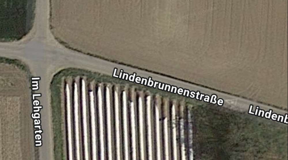 Giftköder-Giftköder-Profilbild