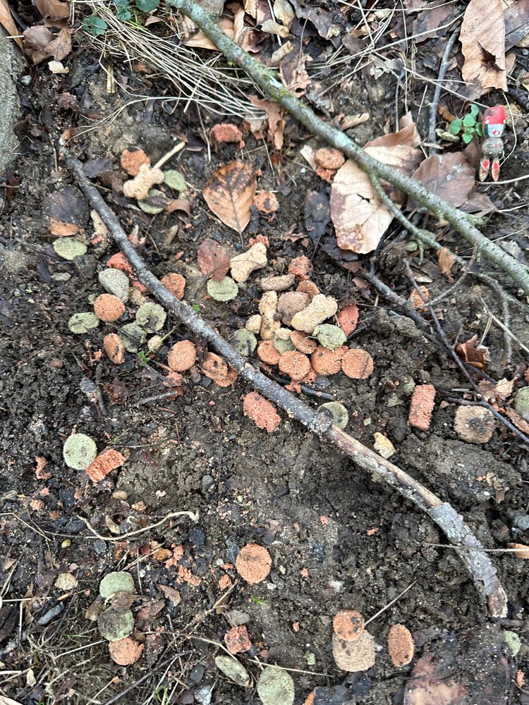 Giftköder-Giftköder-Profilbild