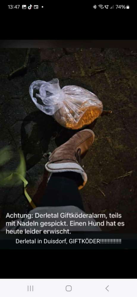 Giftköder-GIFTKÖDER im Derletal-Profilbild