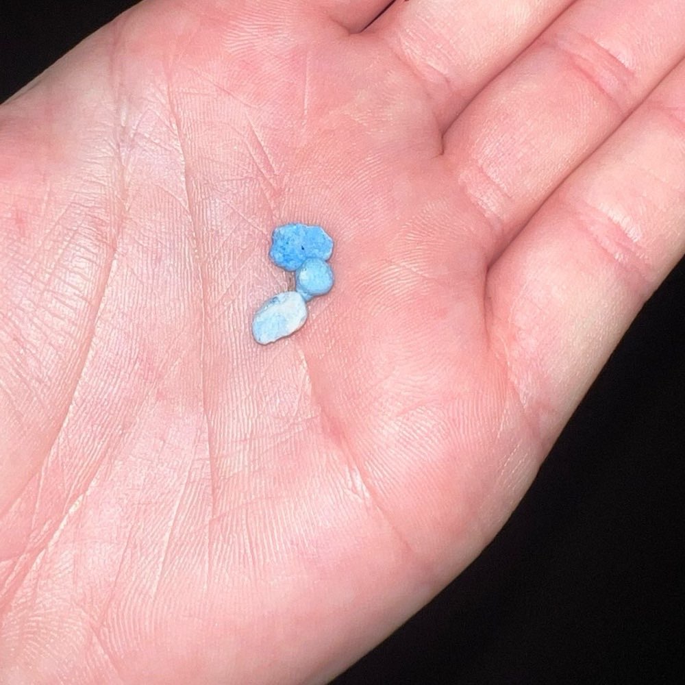 Giftköder-Giftköder Blaukorn/Schneckenkorn-Profilbild