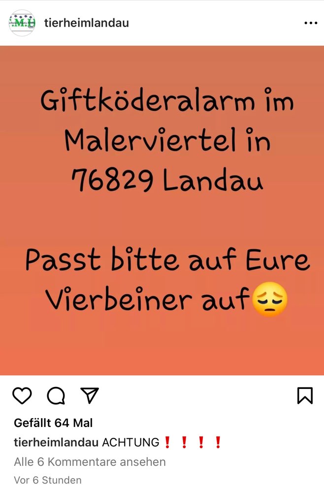 Giftköder-Giftköder im Malerviertel-Profilbild