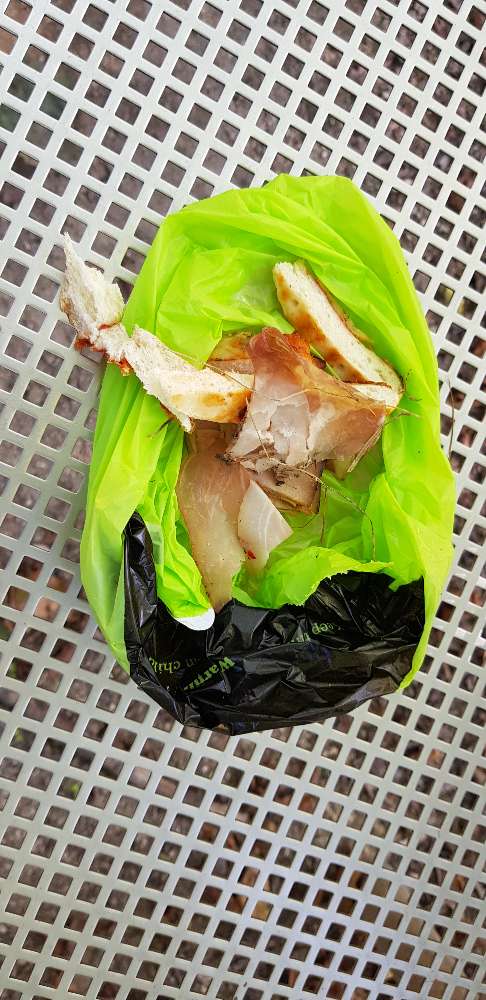 Giftköder-Fleisch und Wurst im Gebüsch-Profilbild