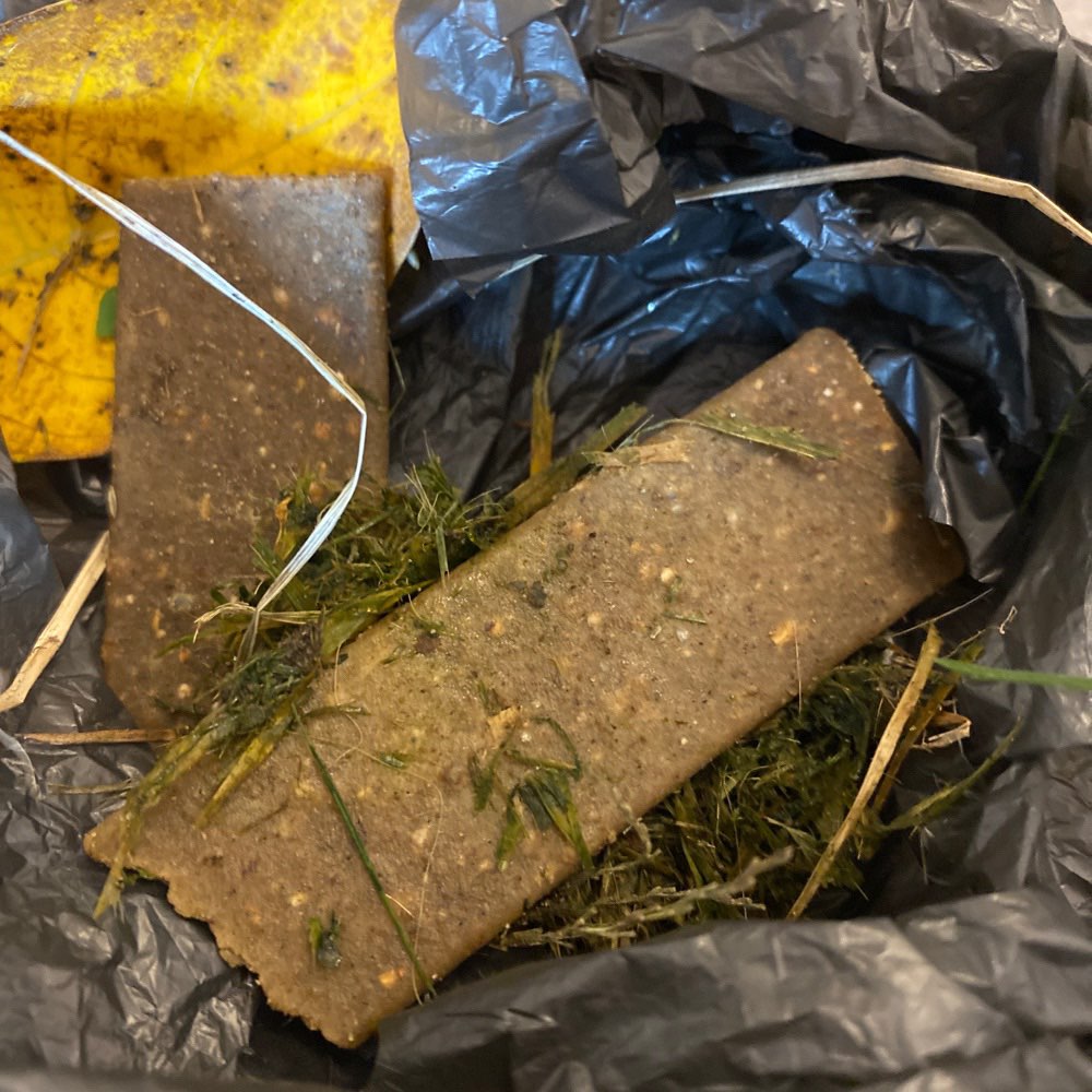 Giftköder-Vermutlich verteile Giftköder-Profilbild