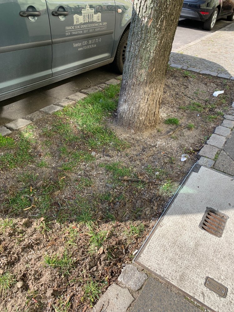 Giftköder-Weisse Kügelchen-Profilbild