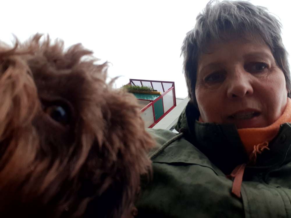 Hundetreffen-Junghundtreffen Bolonka zwetna-Profilbild