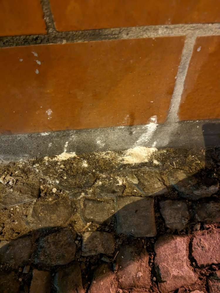 Giftköder-weisses Pulver Boxhagener / Lenbach-Profilbild