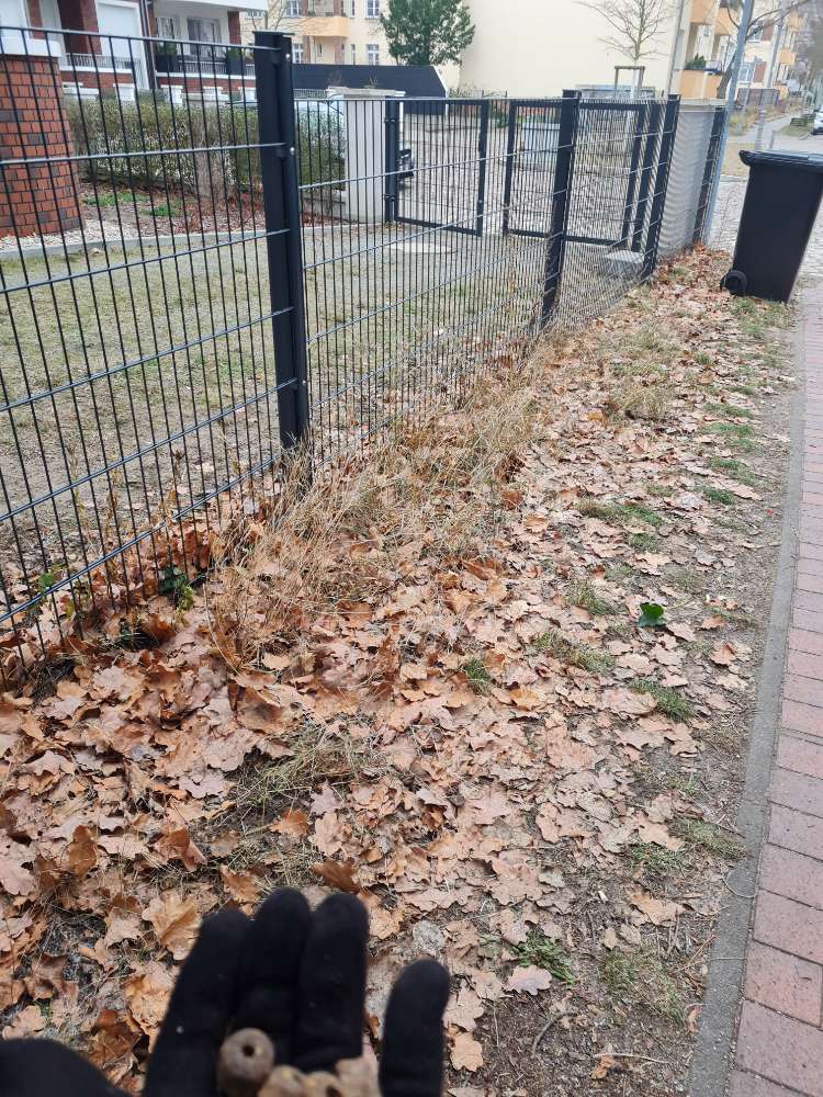 Giftköder-Giftköder versteckt unter Laub!-Profilbild