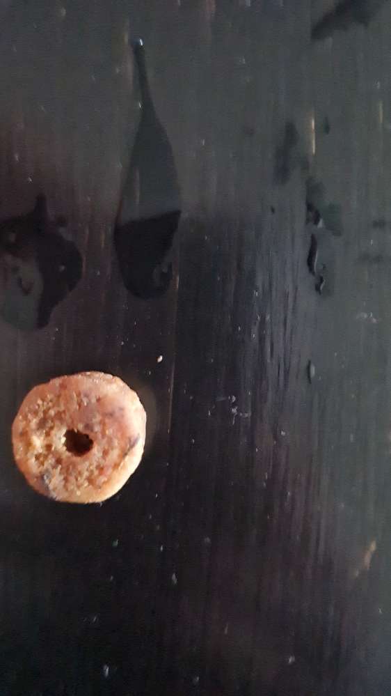 Giftköder-Giftköder Leckerli-Profilbild