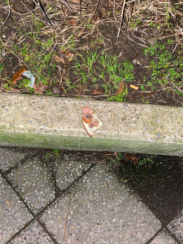 Giftköder-Höchst wahrscheinlich Giftköder-Profilbild